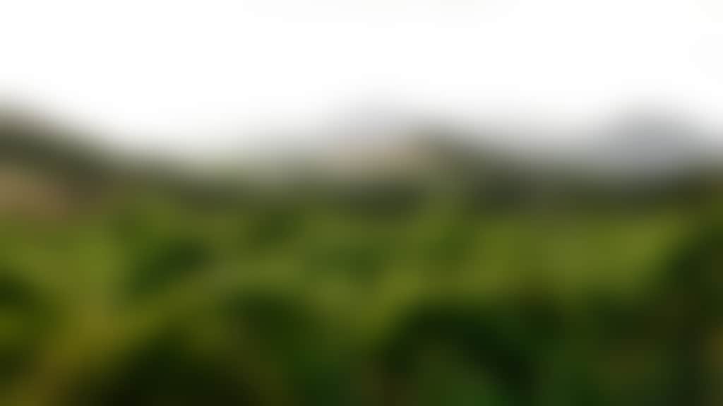 48B2Babf149Eee3E7B29C44E58908Ab8