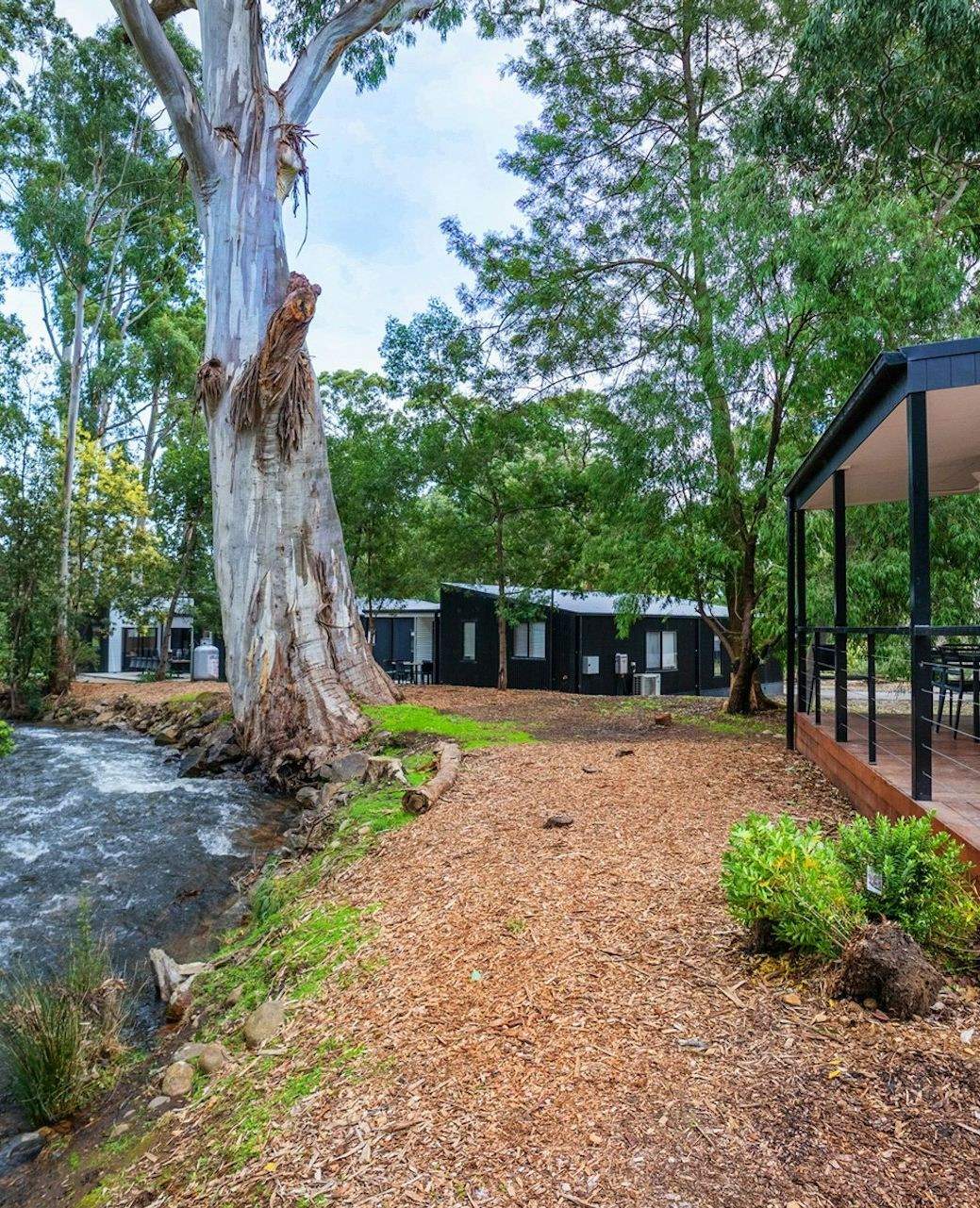 yarravalley dandenongranges