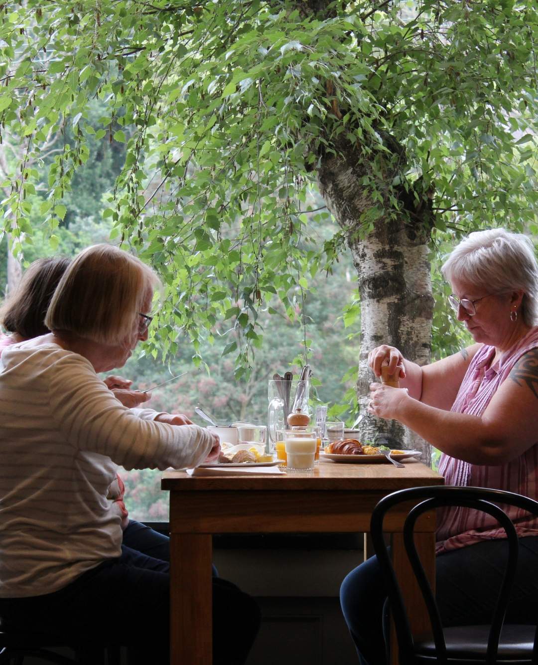 yarravalley dandenongranges