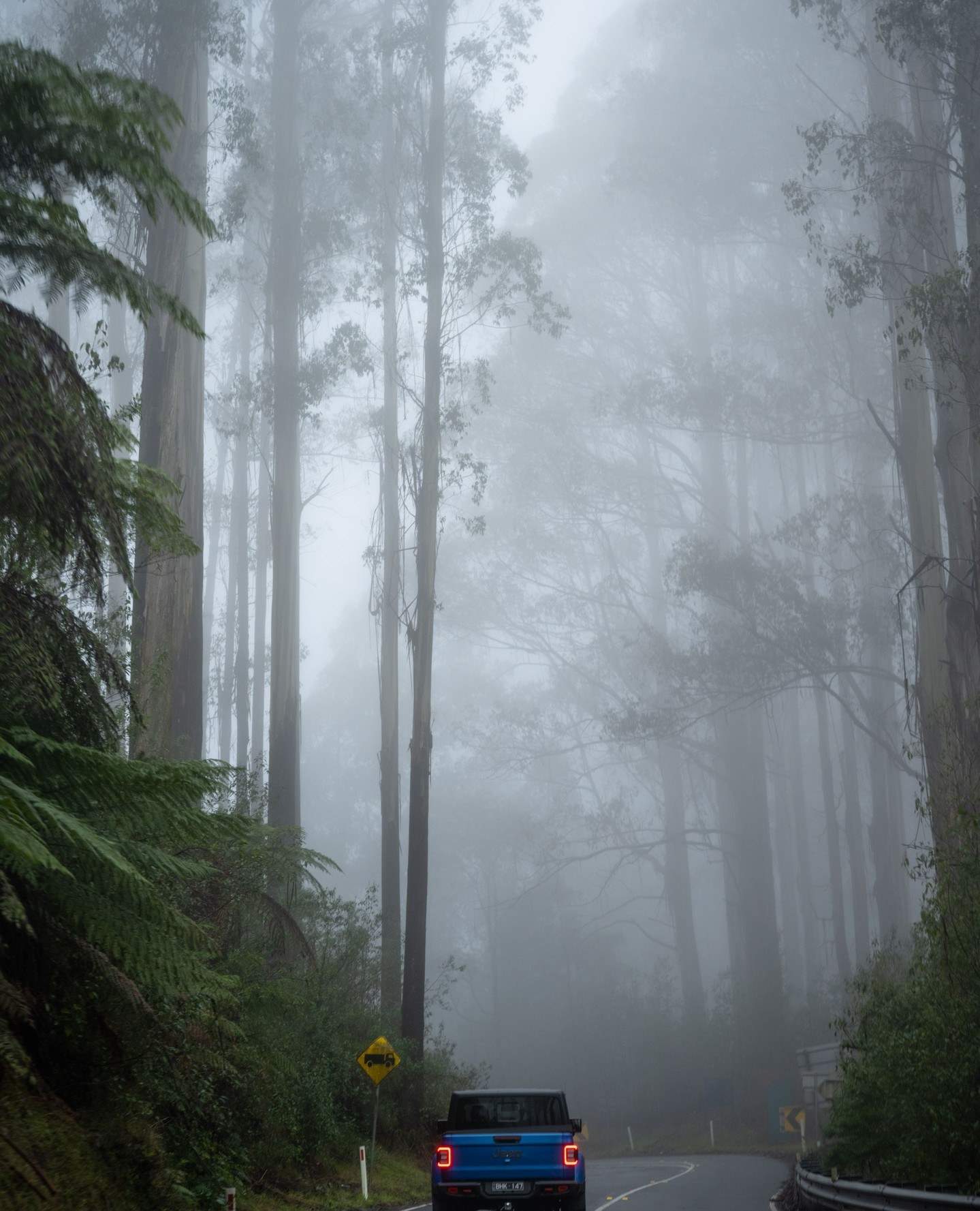yarravalley dandenongranges
