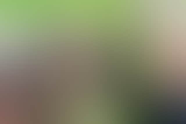 D5700Aa95029B301B75D7Cd0C43F7F59