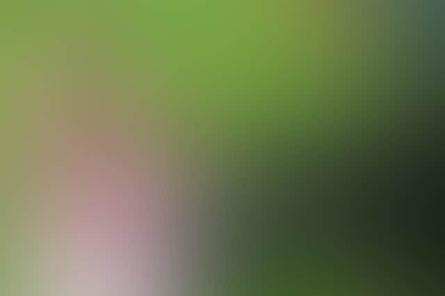 Ea35Dfcd051E6C3902601Ed88F6B4919