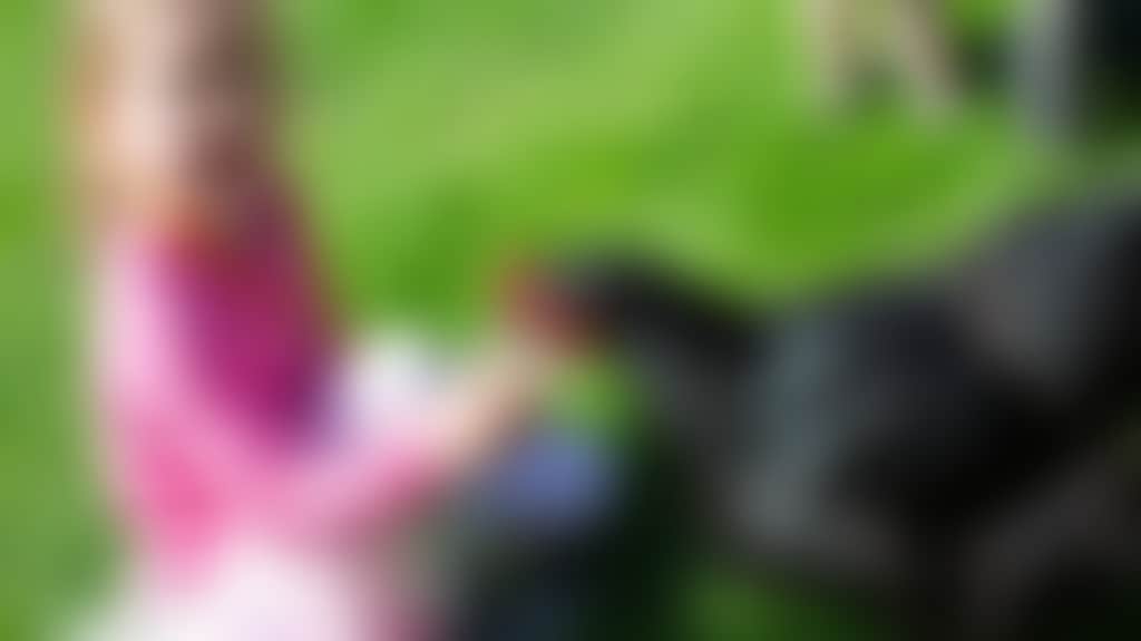 Ea35Dfcd051E6C3902601Ed88F6B4919