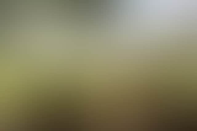 212E4Be4Ac4Debcc7F049C9D240Da048