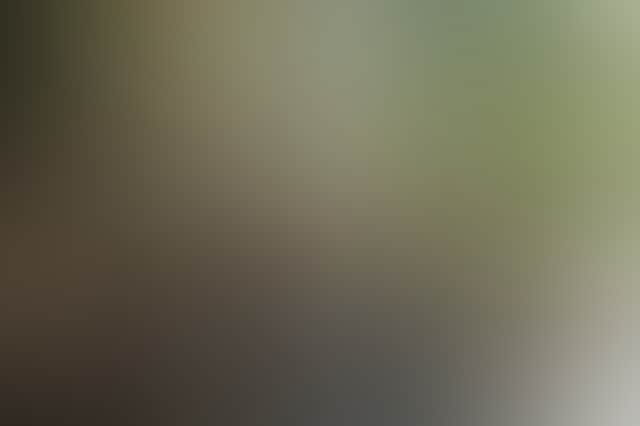 De7A6D87E0C304406Fc15D8Abd75B2B1
