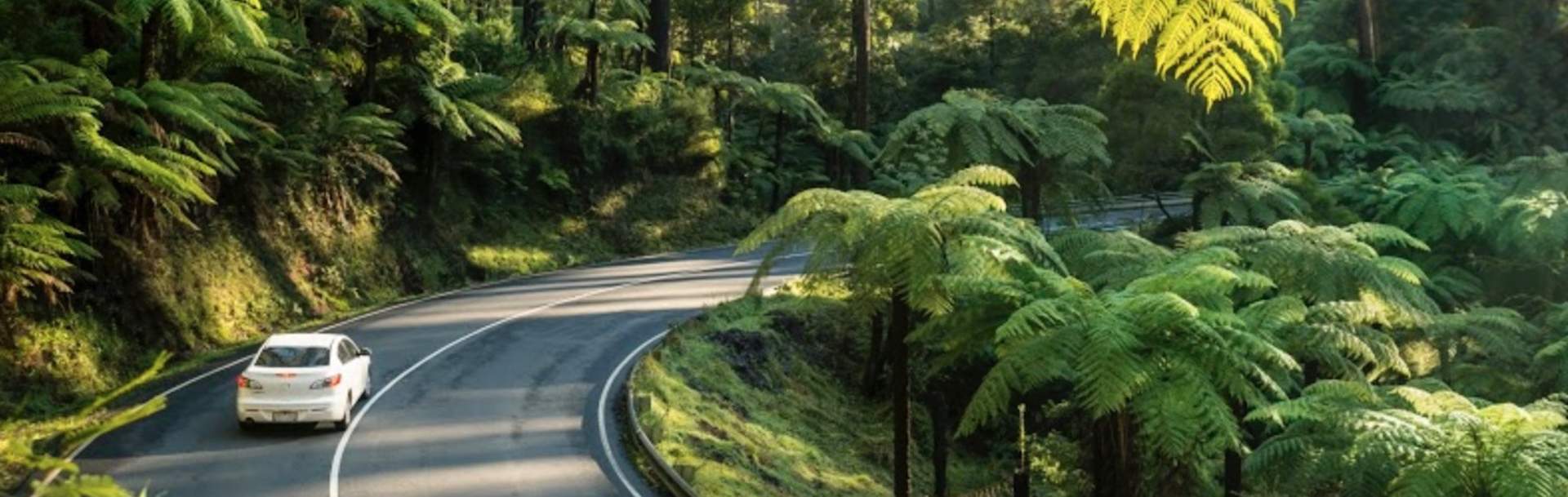 Road trip along black spur