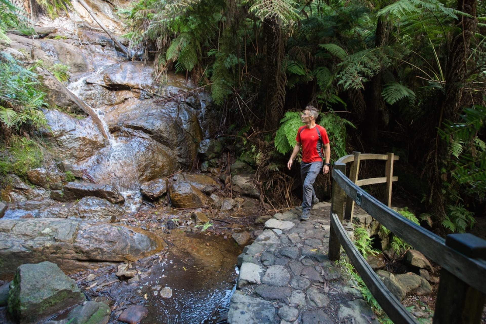 La la falls walker