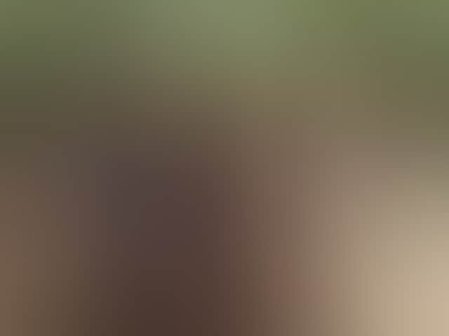 B592De3Cc5114B89A296257Be7744098