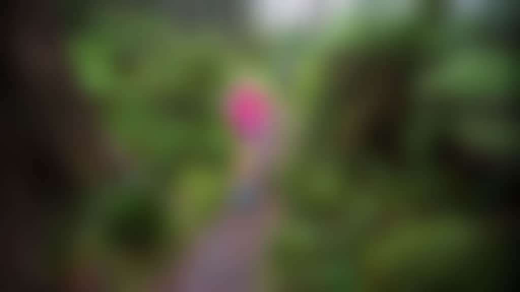 105922221466675F3Ddb7Fc0034Ec139