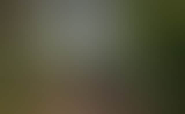 8Facbedd8B543519F0A5698A19Ff36E0