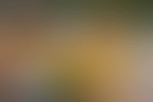 D0Be5B5961A306B37Bf2001E2B0D3407