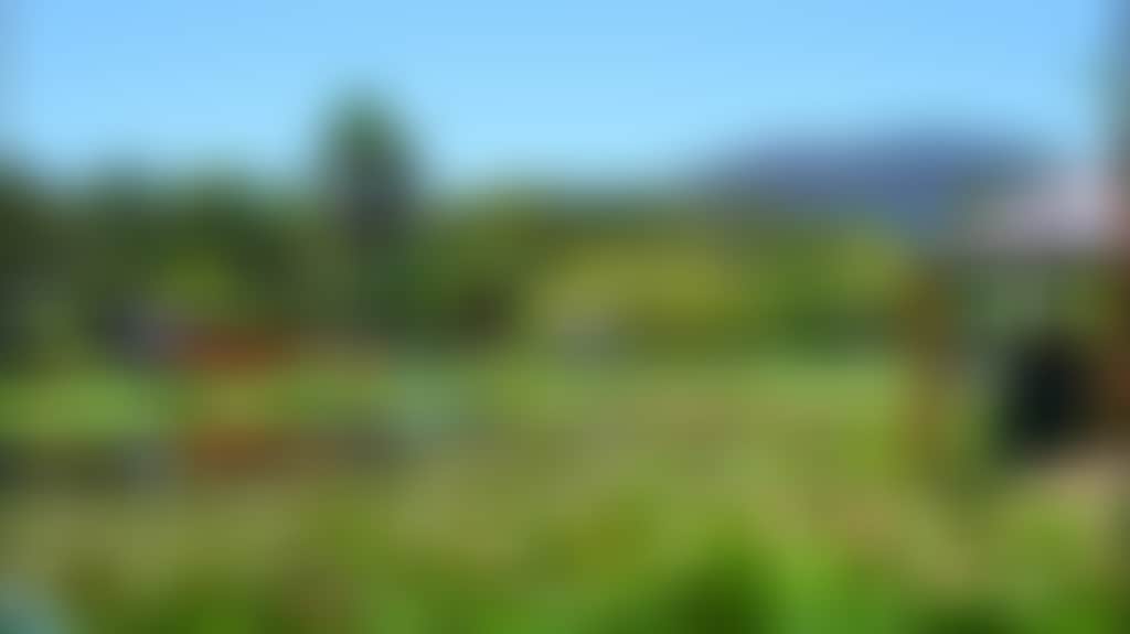C60Bb4626Db46Daf08F0B0D0C173C90A