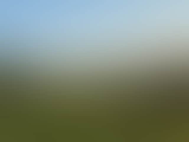 6Dc70C3488Cb88E56Ca28Fead2A6B090