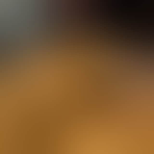 451Ba49E6Cf12Bf413A09027Efd8F999