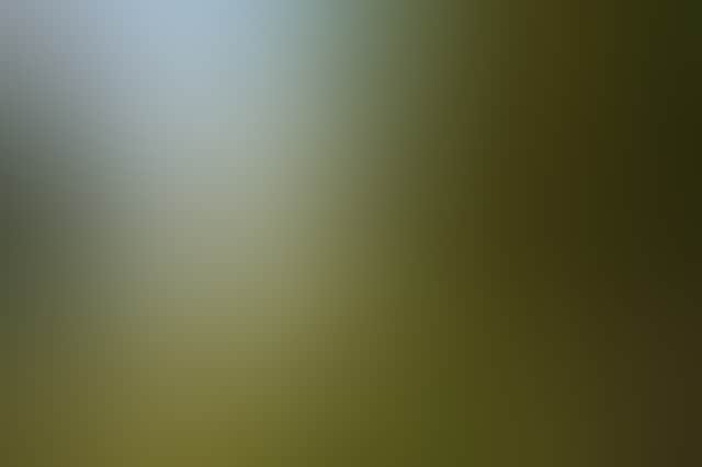 Original__9652719_At45_Mc439_Qjaecsx