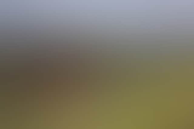 10893B34707E57Dedf15169D31313B9E