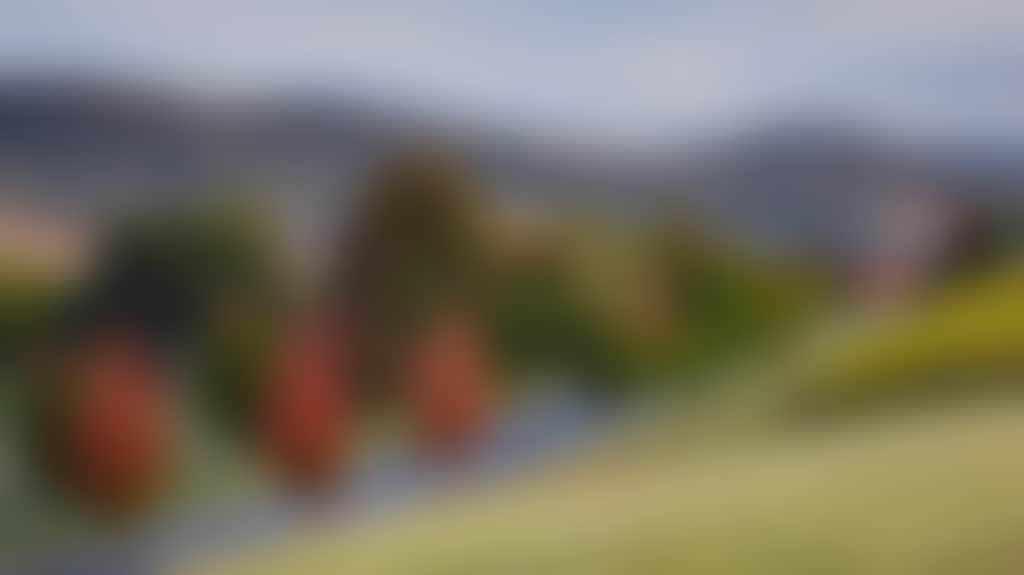 10893B34707E57Dedf15169D31313B9E