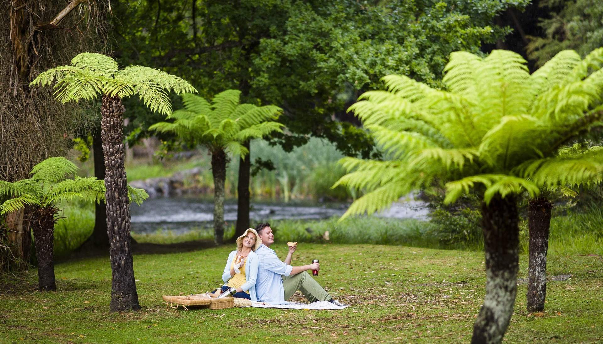Wb yv warburton couple picnic redwood romance top100