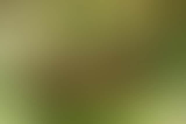 Eb830Aee1291F84523De8Fe9C8A9B960