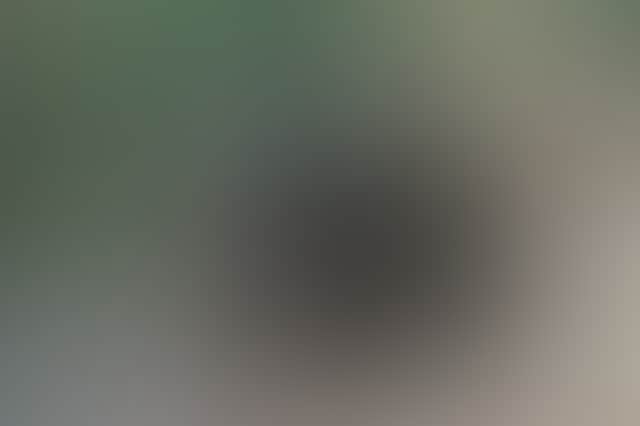 3D1915Ce5Ddfb4E86C1Ab29705961Fe4