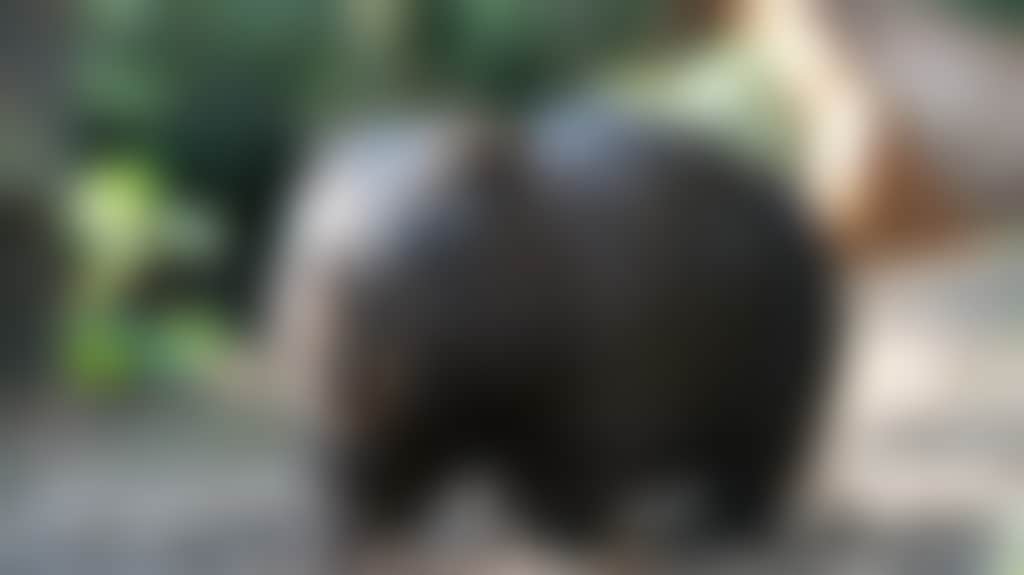3D1915Ce5Ddfb4E86C1Ab29705961Fe4