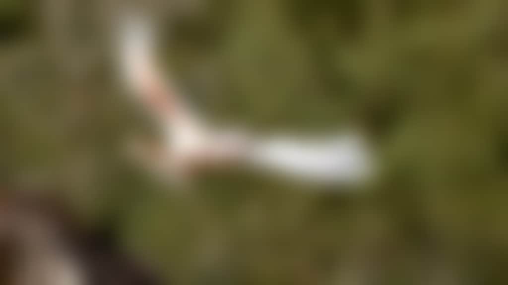 2F84C802Fc81A76C0D98C7F38Aa7Fc16