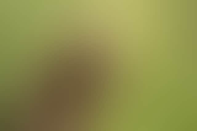 43Fd7B0Ca76268D90B275Ff9F5Decd40