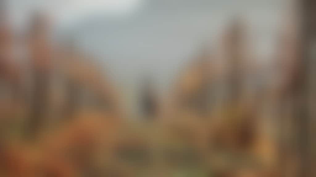 638501C5D9042B669Bc30D84670E83Ba