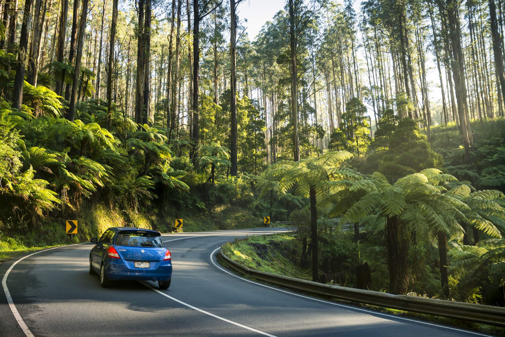 Copy of Black Spur Marysville 6158