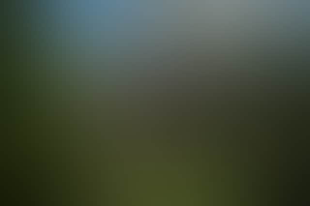 6246Ef8E627C1Ad653Cfa8A8F543E6Ab