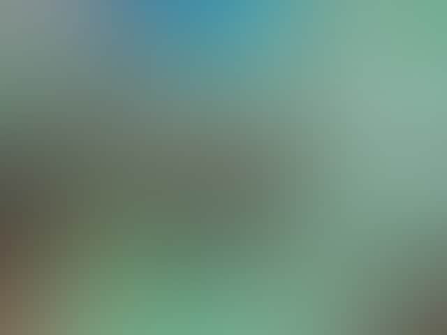 6175A7B1Df5B8F4Dd30866C8E3509Dcf