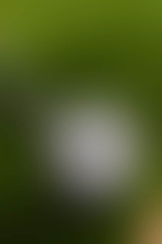 B323367998B69Db762De8C4125094Dc4