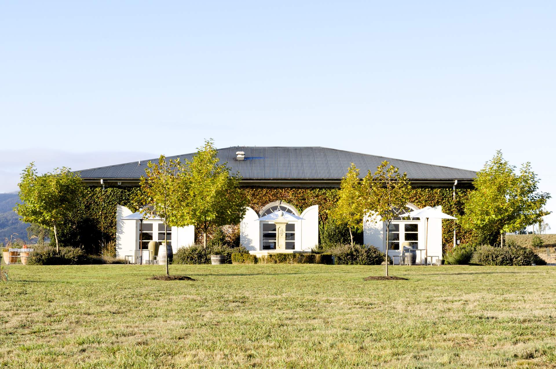 Dominque Portet Cellar Door