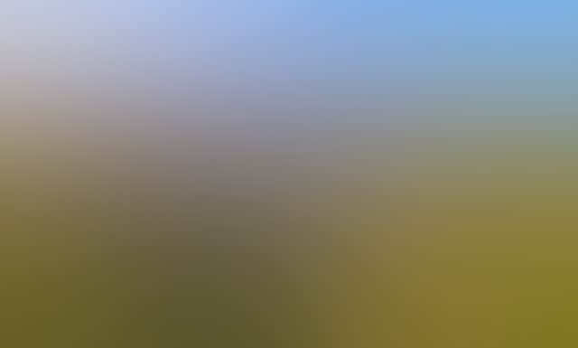 905309Ce8D922Ef98A13Bf84D8E74B0F