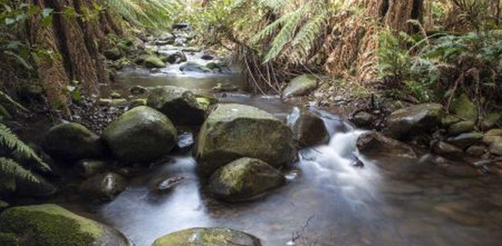 Badger Weir Picnic Area