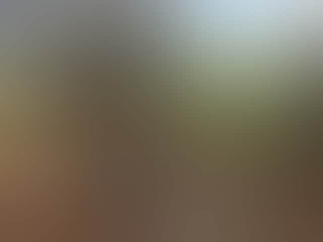 863350E999Cbf051355Da0Aab90339Df