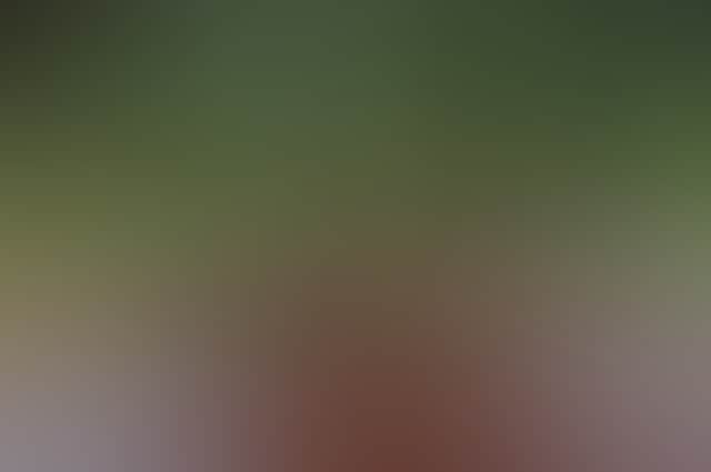 E4C77F8F88C12746F2F32E0B74434F05
