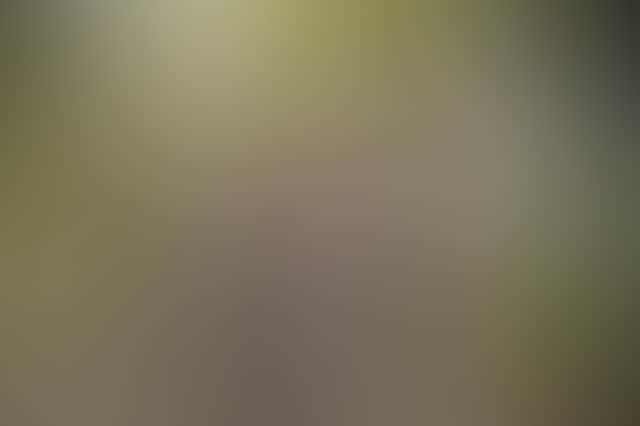 1F6B8Fb47A9Cfab3777946A4981Ecf68