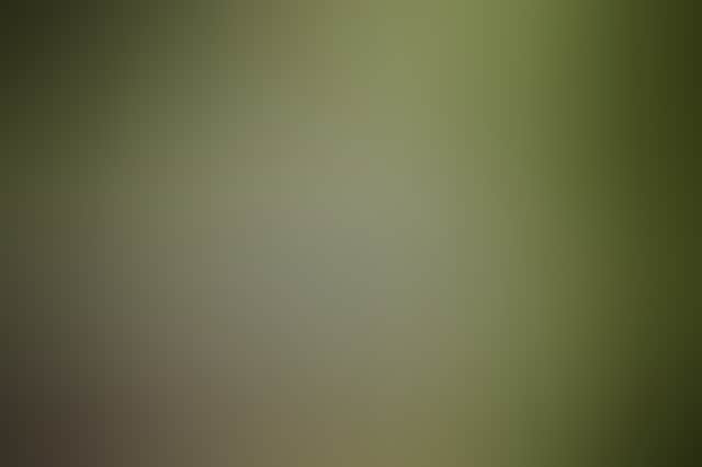 10Df417Bef300Ab5B959807C414Bfa4A