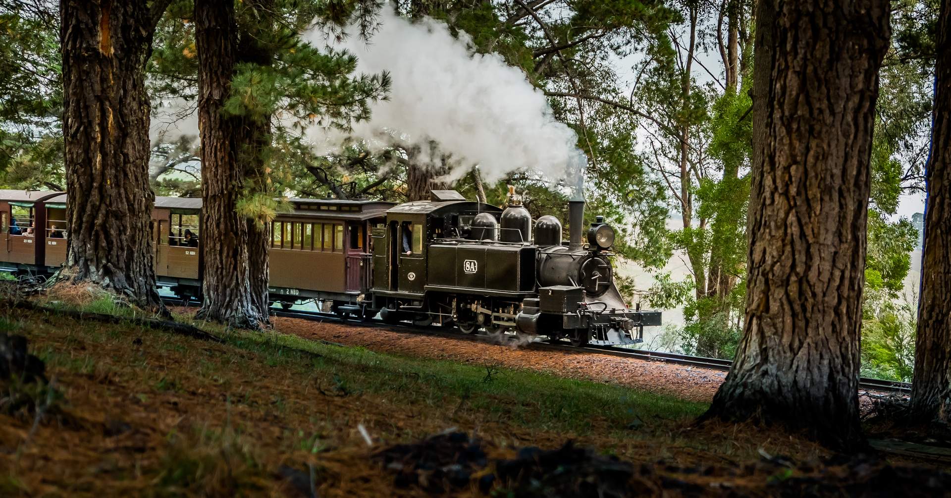 Puffing Billy 3