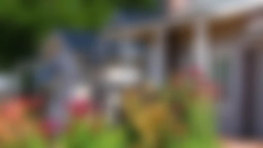 Original__9382430_Cl19_Gardencottages_01_Amvx01I