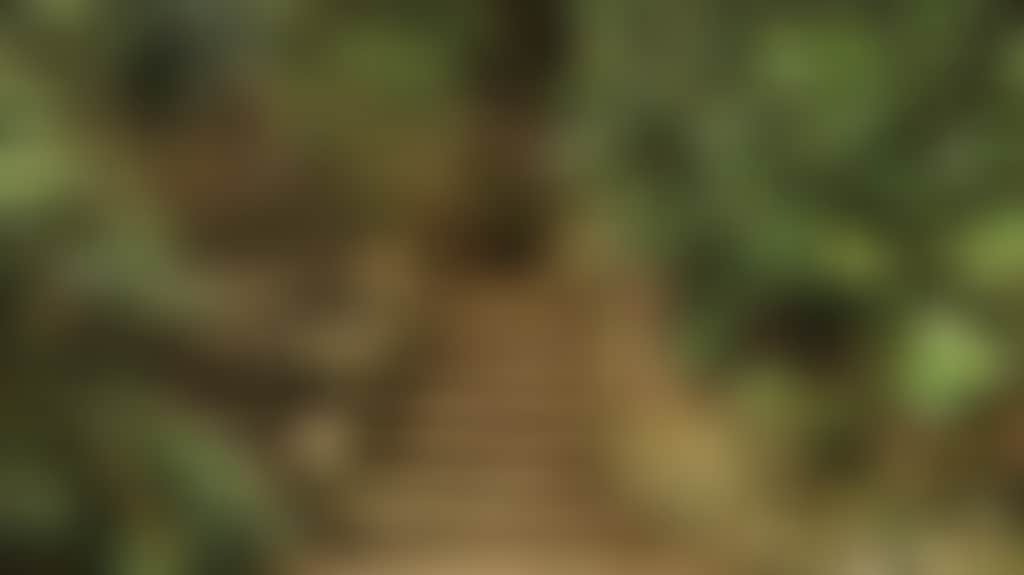 6713E4A9Edf1C123Cc13Cc3633Ae28Fb