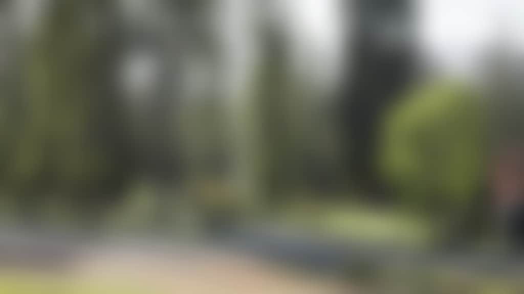 Original__9755463_Dy43_Vista_3B9H63P