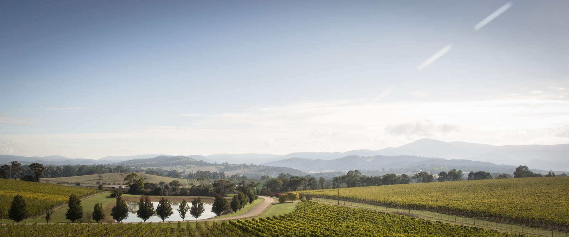Birds eye view Oakridge Coldstream Winery med res