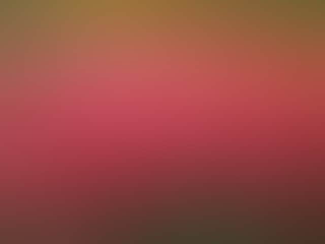 E01Dc83E117F3Fe29Ad4975A9D30Cf3E