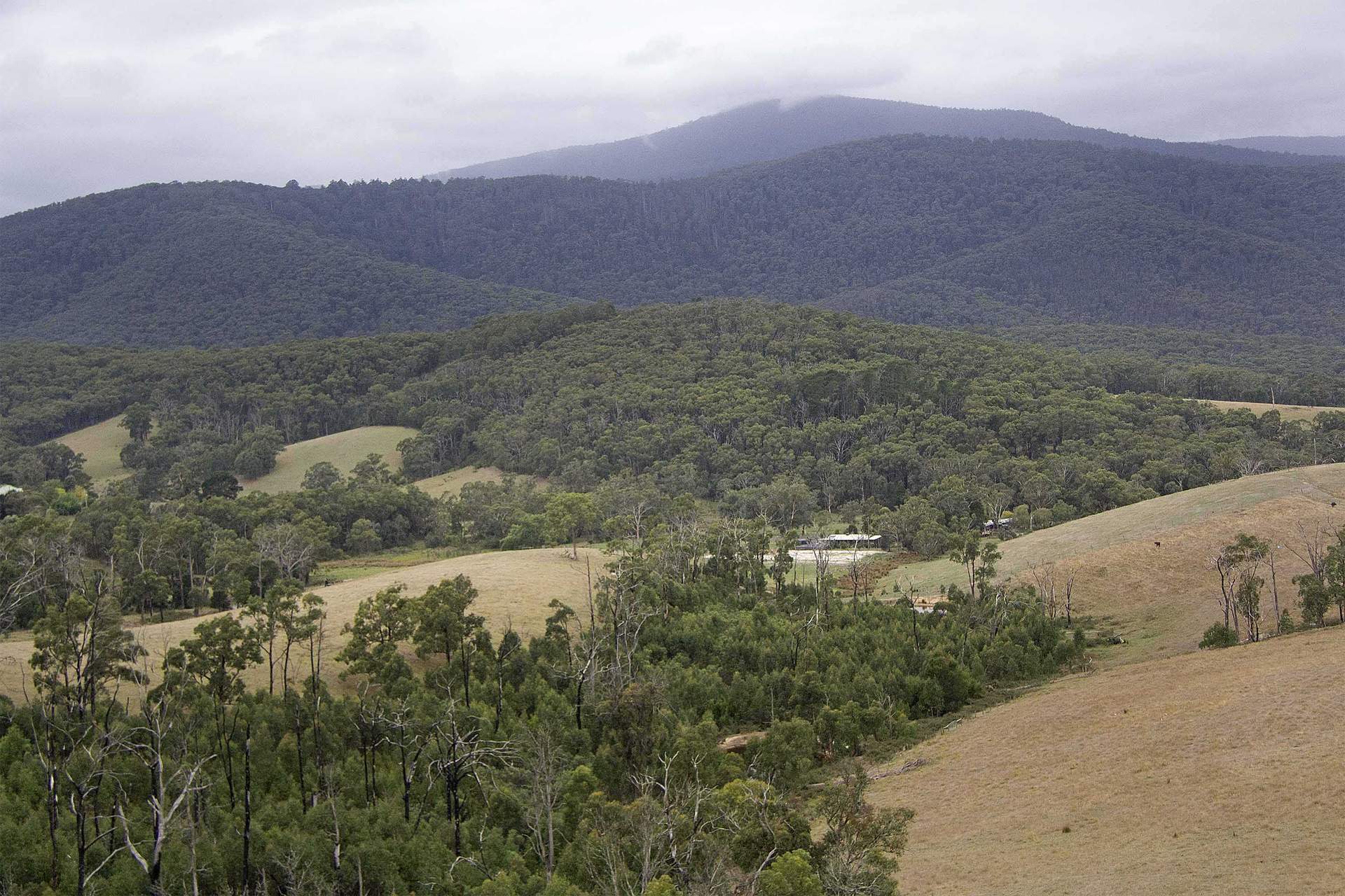 Chum Creek Hut 48