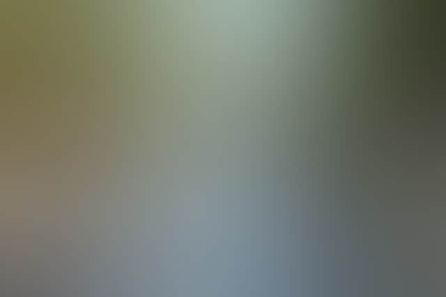65F5Ea1F95C4A46Be7Fd6Dbbc03821Cc
