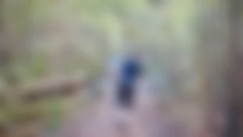 A17857D658652Dc2F377Ed929542Fbfd