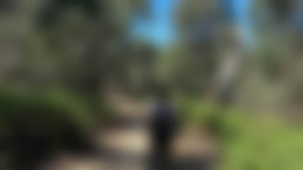 A85650684437F78Dbdebb1437148D4Fc