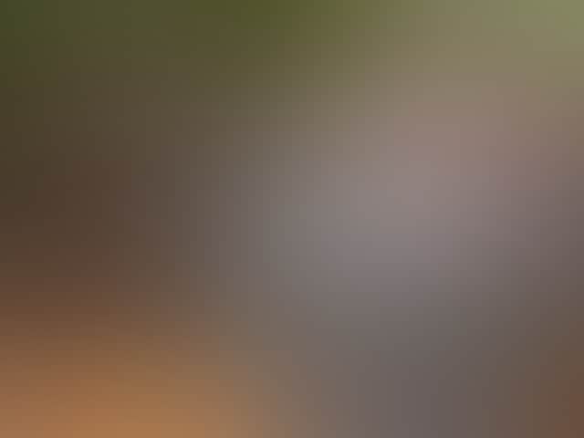 6Fbe1Fbb680827C77A98380B28B84Eba